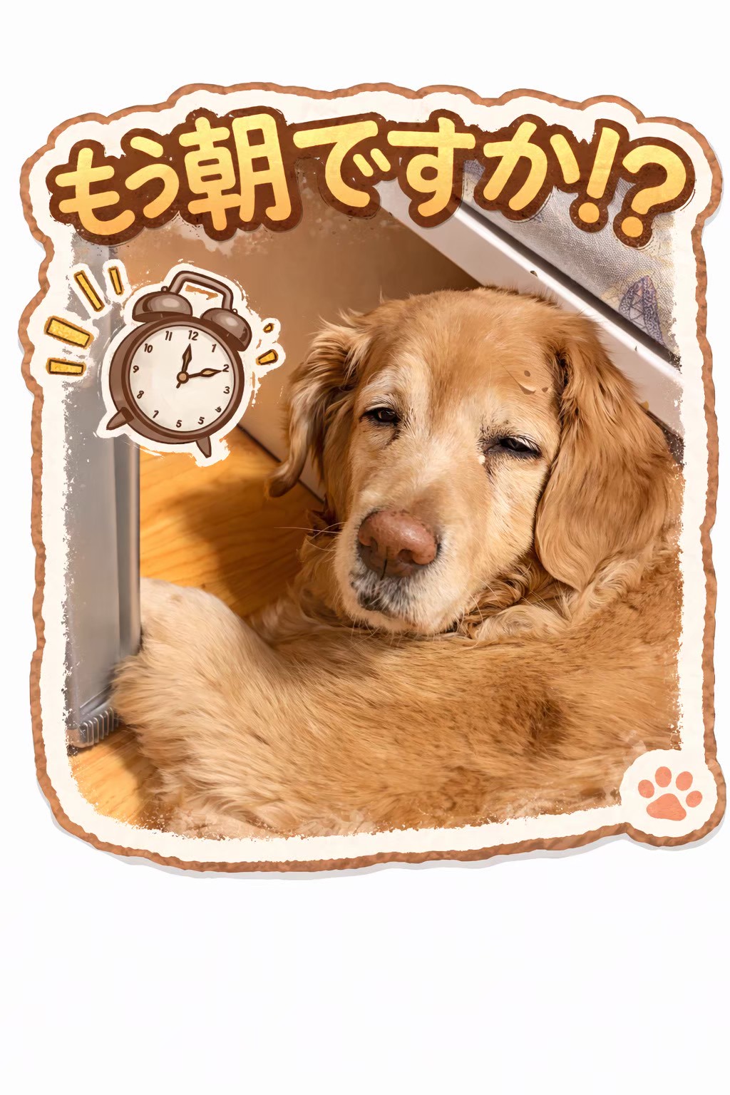 F2E15637-85A3-46FA-9CF0-B4C33EBDF924.png