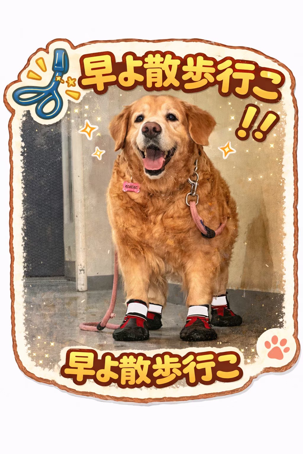 08B98327-0EF1-4855-B8D6-045FDB4DAB82.png
