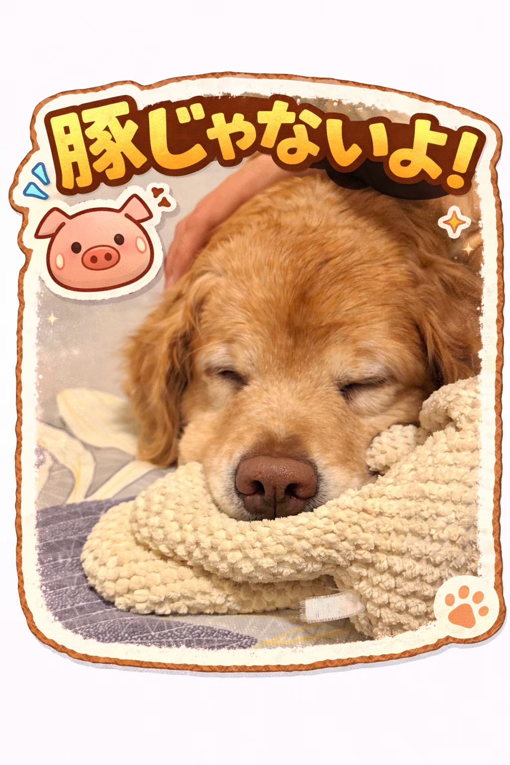 30A4B515-AE0B-4924-9FA4-6154BF937ECE.png