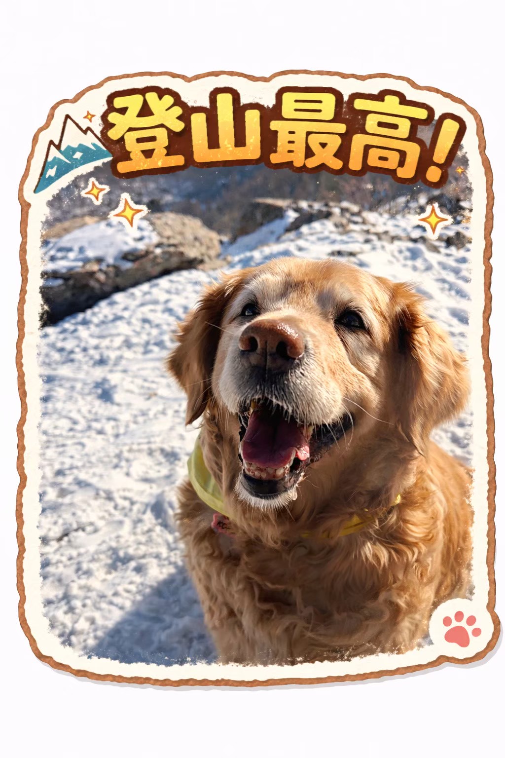 D6E8A1E0-23CF-4ED1-B617-32CC4BC35402.png